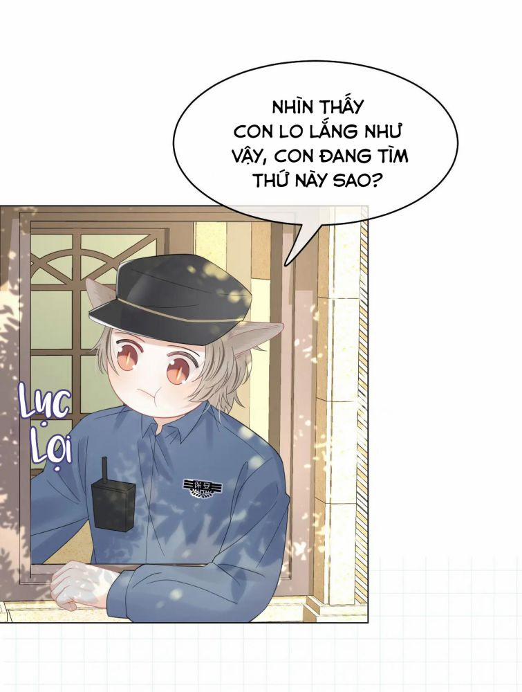 Một Ngụm Ăn Thỏ 34 trang 31