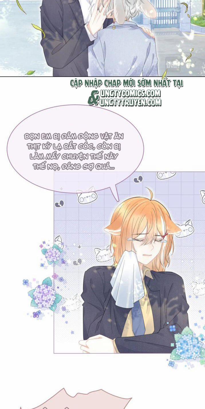 Một Ngụm Ăn Thỏ 35 trang 2