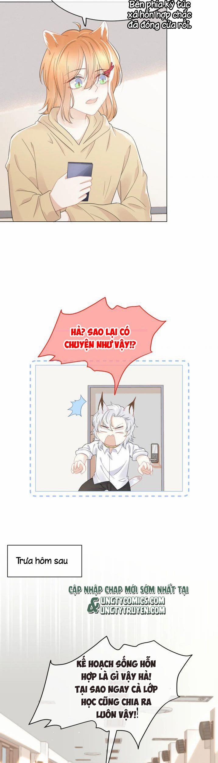 Một Ngụm Ăn Thỏ 35 trang 29