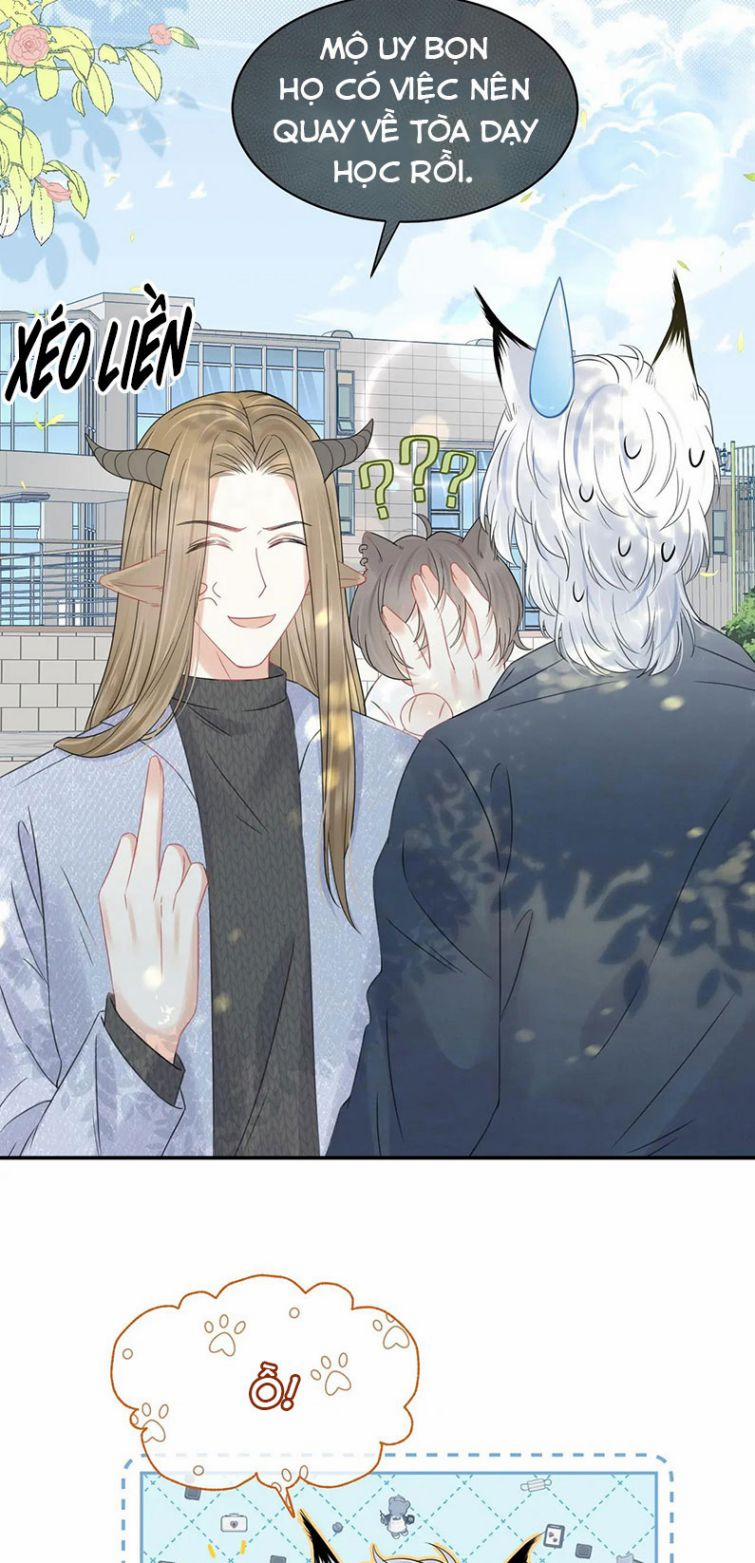 Một Ngụm Ăn Thỏ 37 trang 5