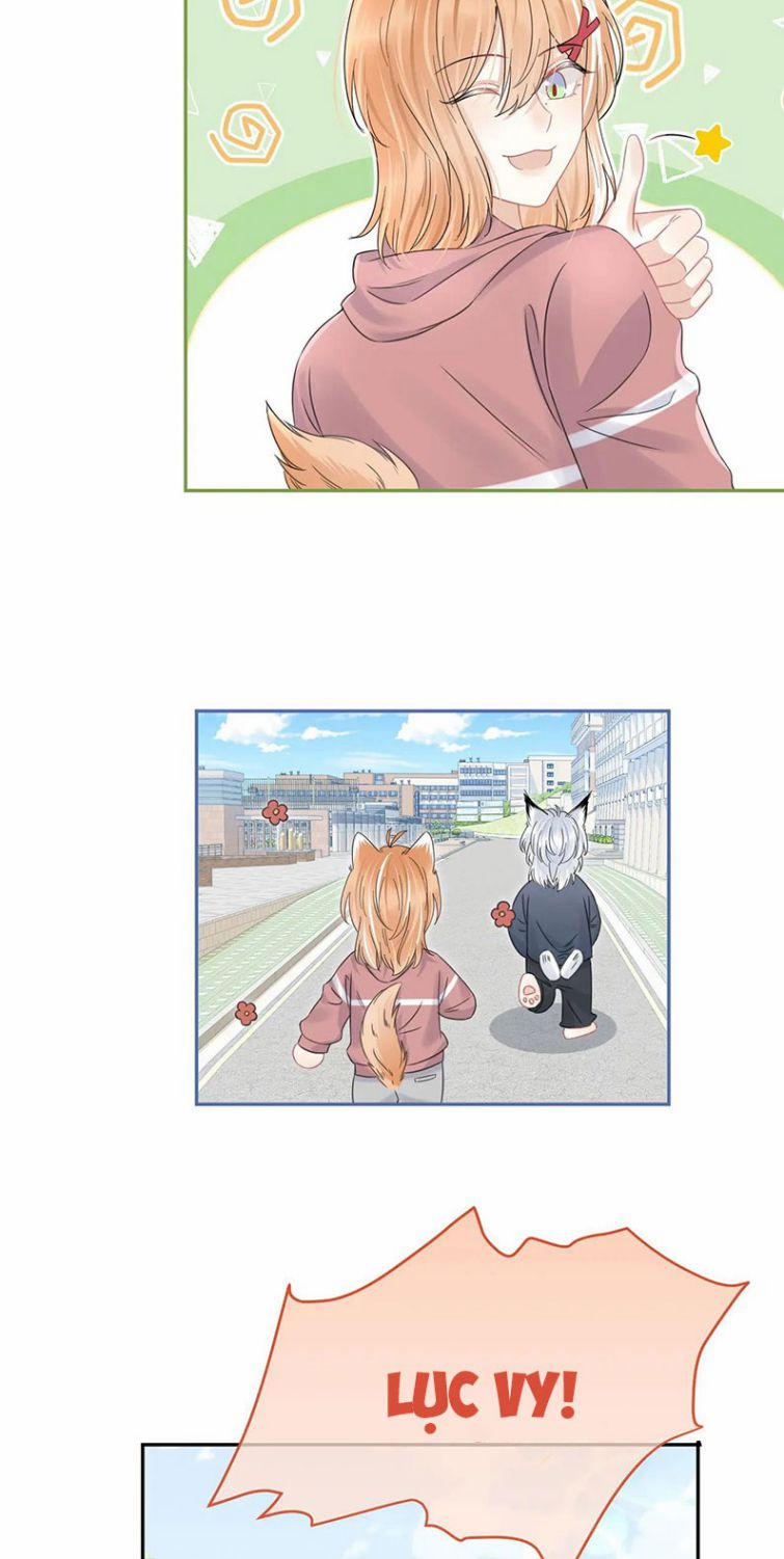 Một Ngụm Ăn Thỏ 37 trang 9