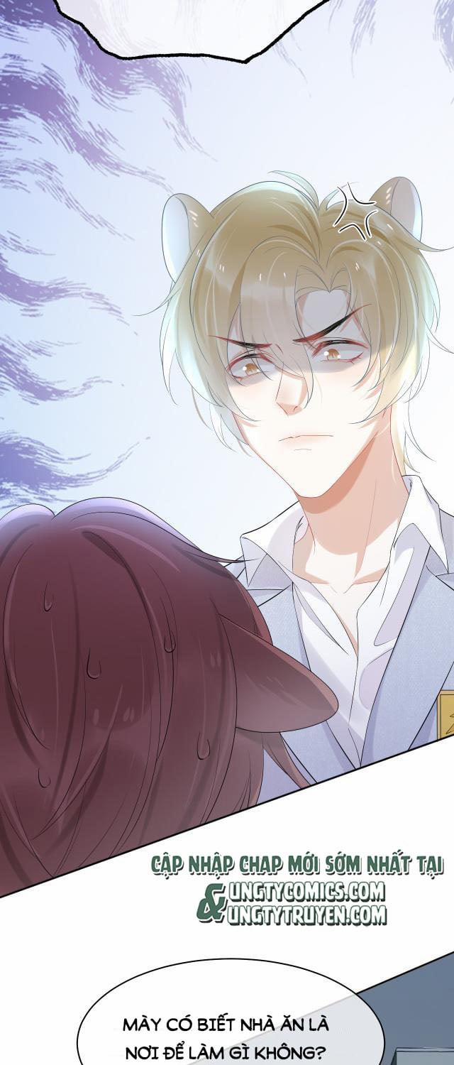 Một Ngụm Ăn Thỏ 4 trang 19