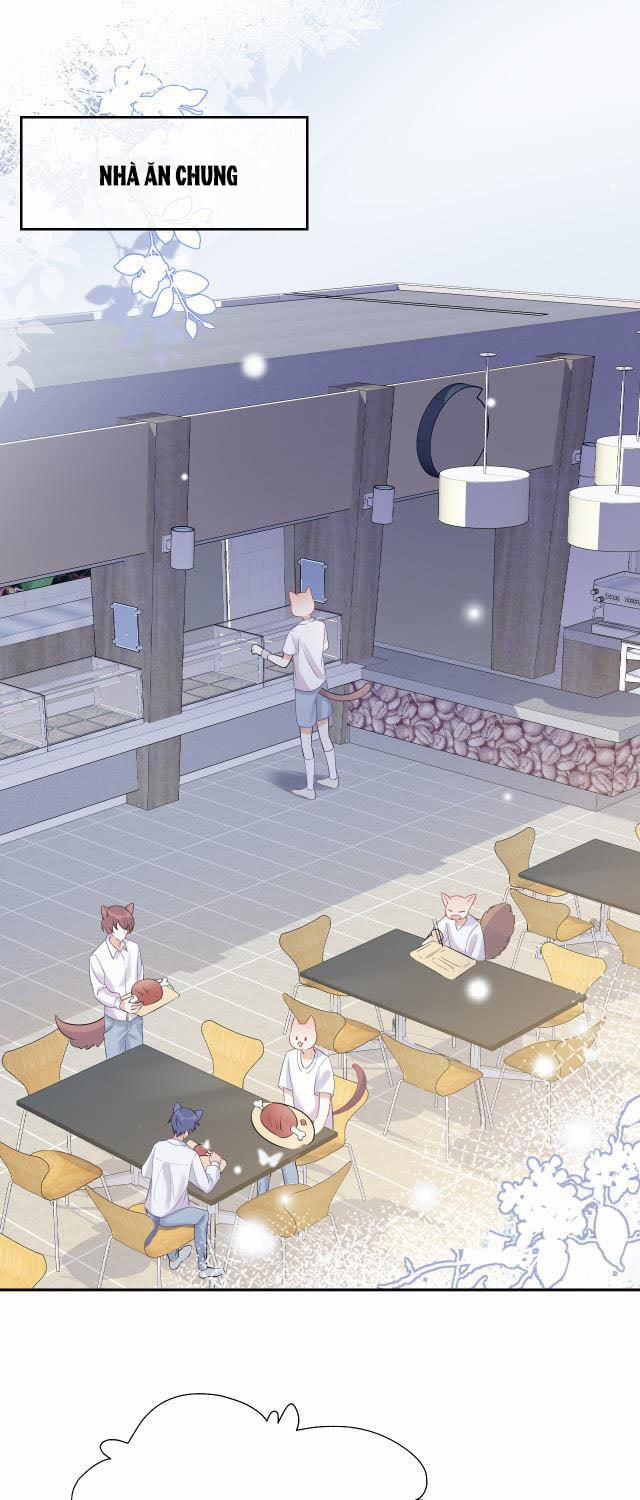 Một Ngụm Ăn Thỏ 4 trang 2