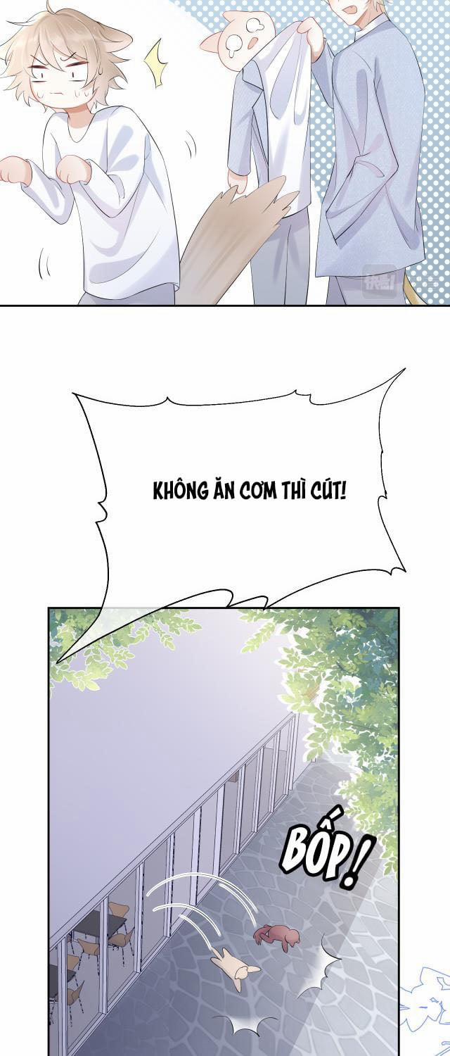 Một Ngụm Ăn Thỏ 4 trang 21