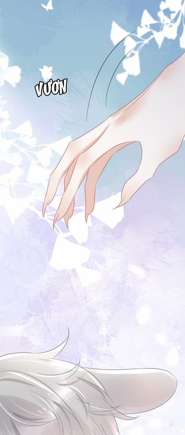 Một Ngụm Ăn Thỏ 4 trang 26