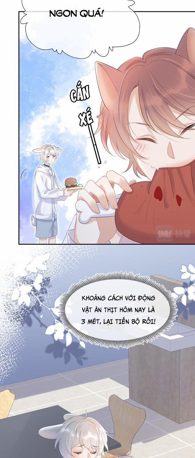 Một Ngụm Ăn Thỏ 4 trang 3