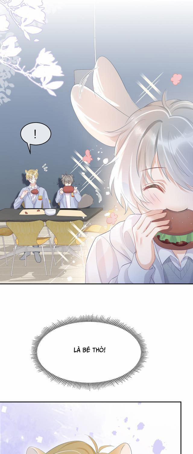 Một Ngụm Ăn Thỏ 4 trang 5