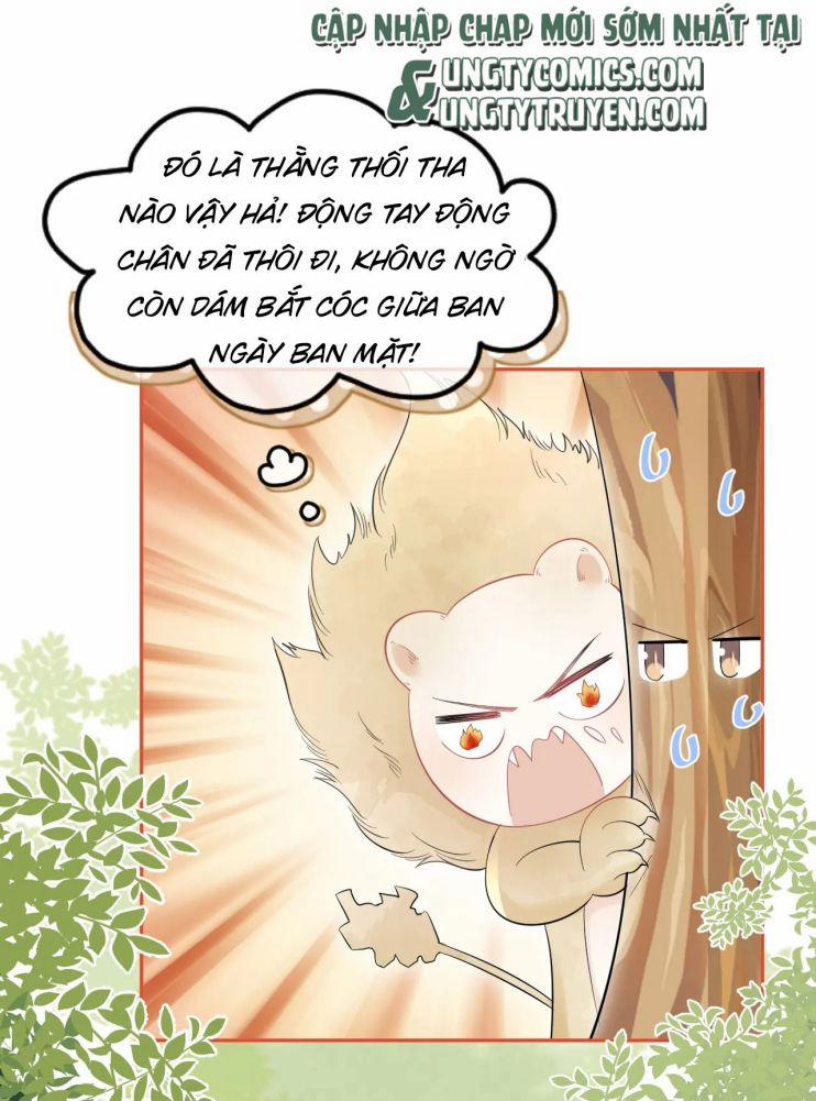 Một Ngụm Ăn Thỏ 40 trang 30