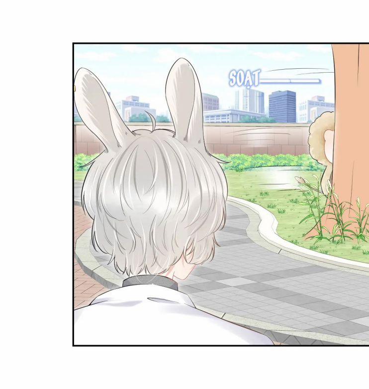 Một Ngụm Ăn Thỏ 40 trang 41