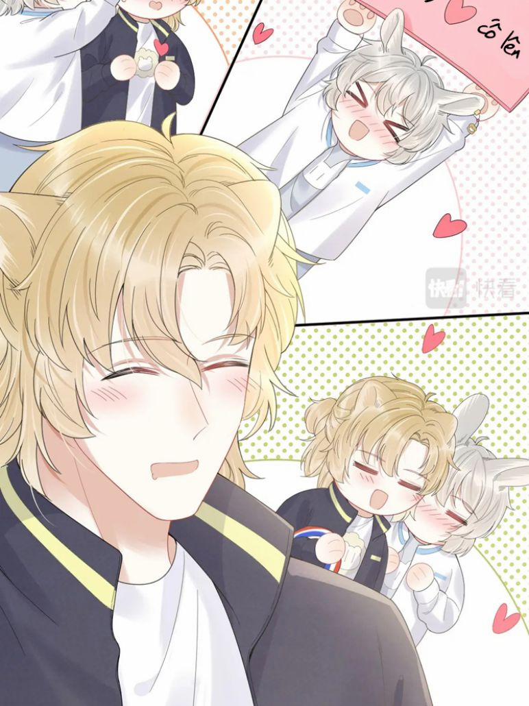 Một Ngụm Ăn Thỏ 45 trang 6