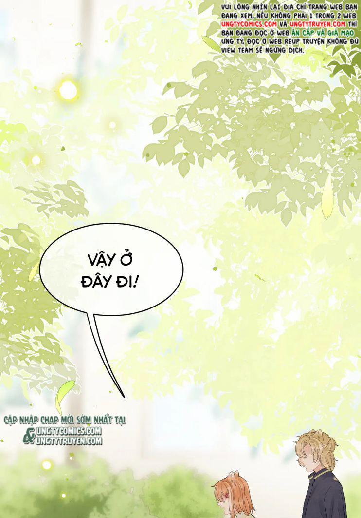 Một Ngụm Ăn Thỏ 48 trang 15