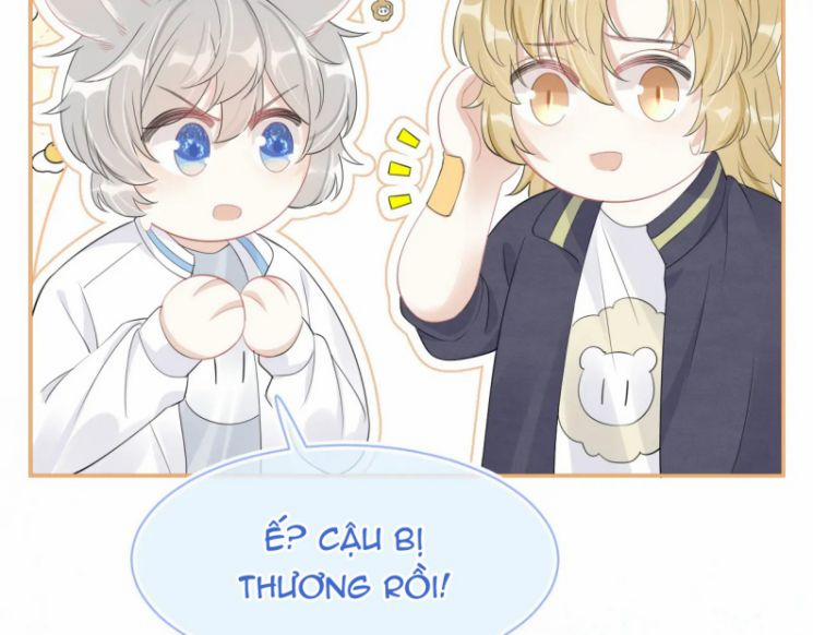 Một Ngụm Ăn Thỏ 49 trang 20