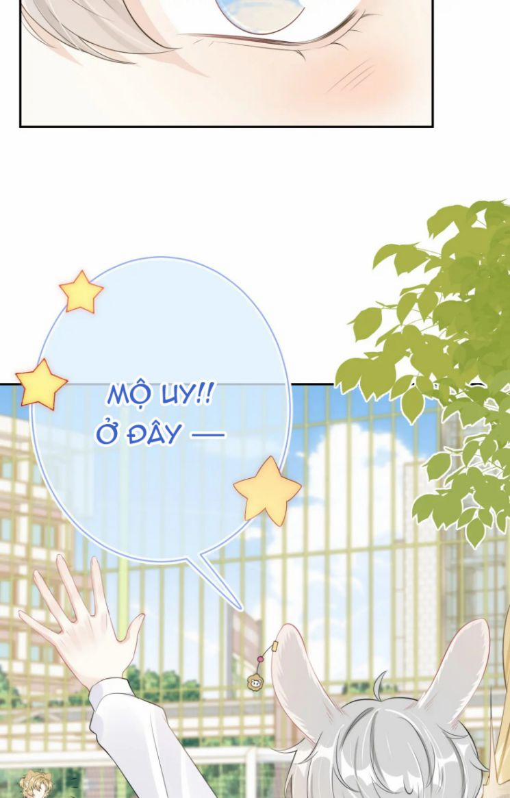 Một Ngụm Ăn Thỏ 49 trang 9