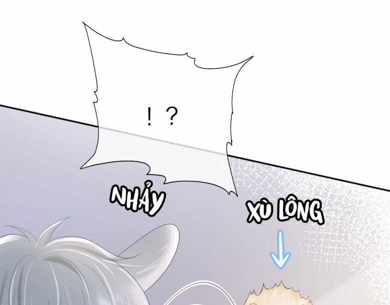 Một Ngụm Ăn Thỏ 5 trang 13