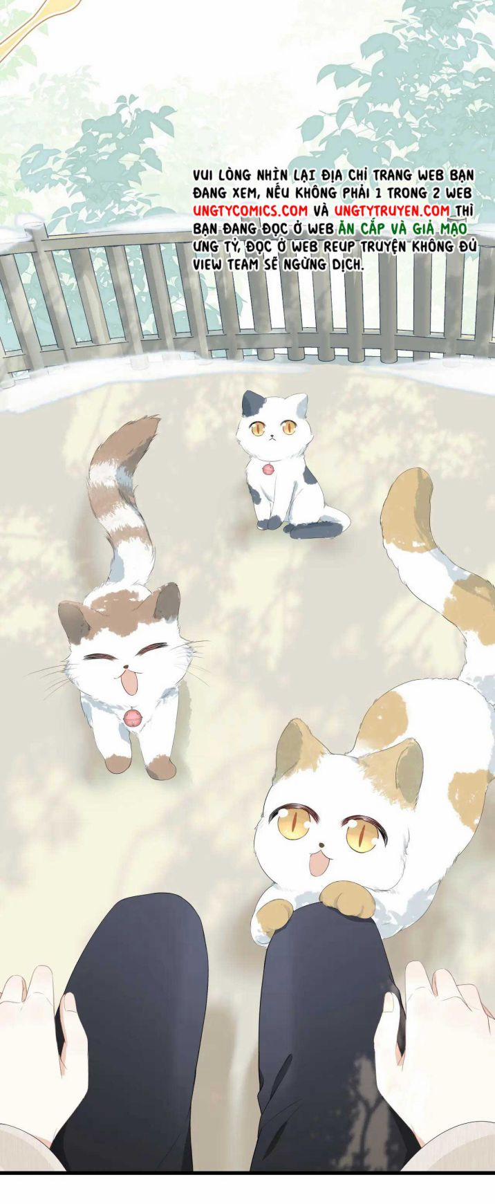 Một Ngụm Ăn Thỏ 59 trang 10