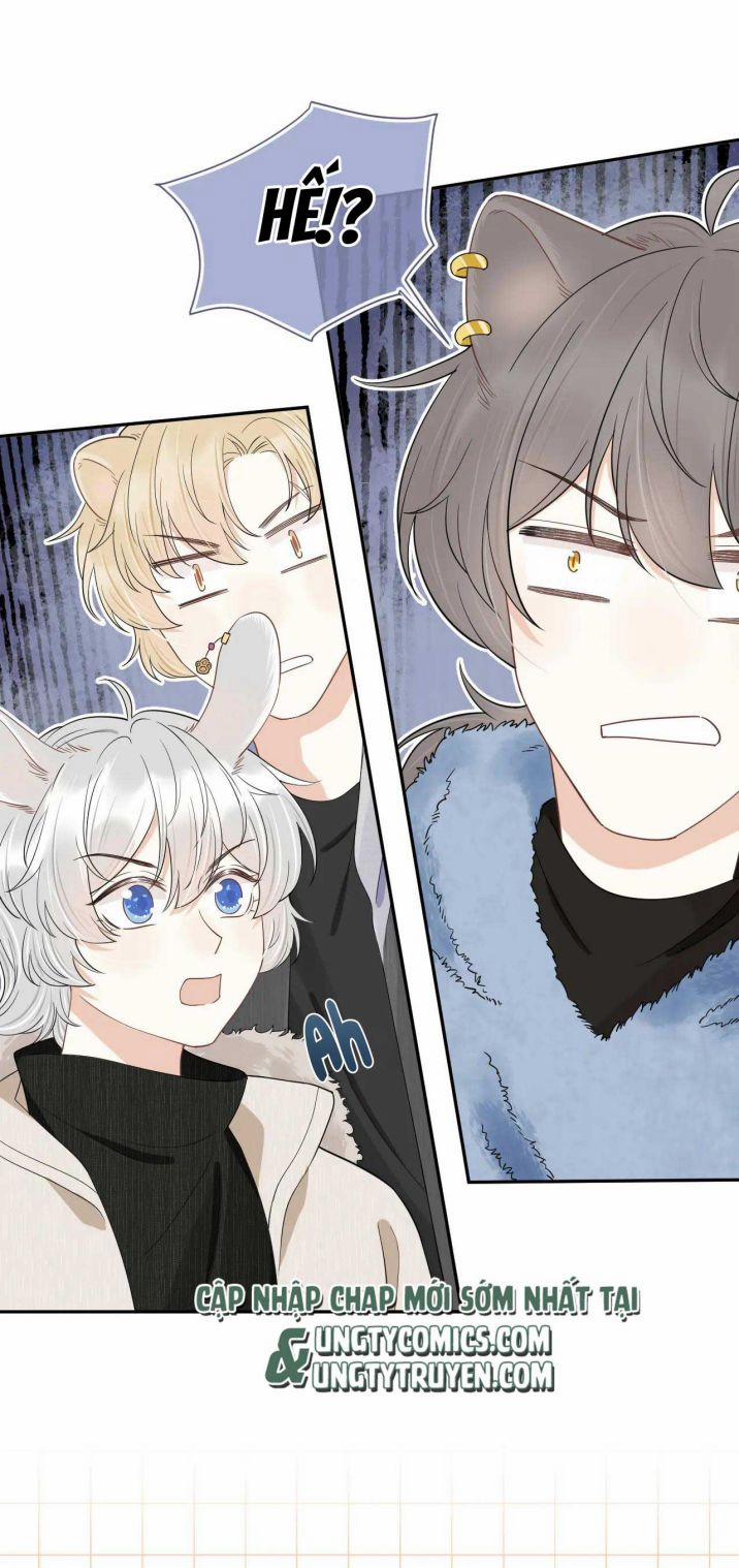 Một Ngụm Ăn Thỏ 59 trang 17