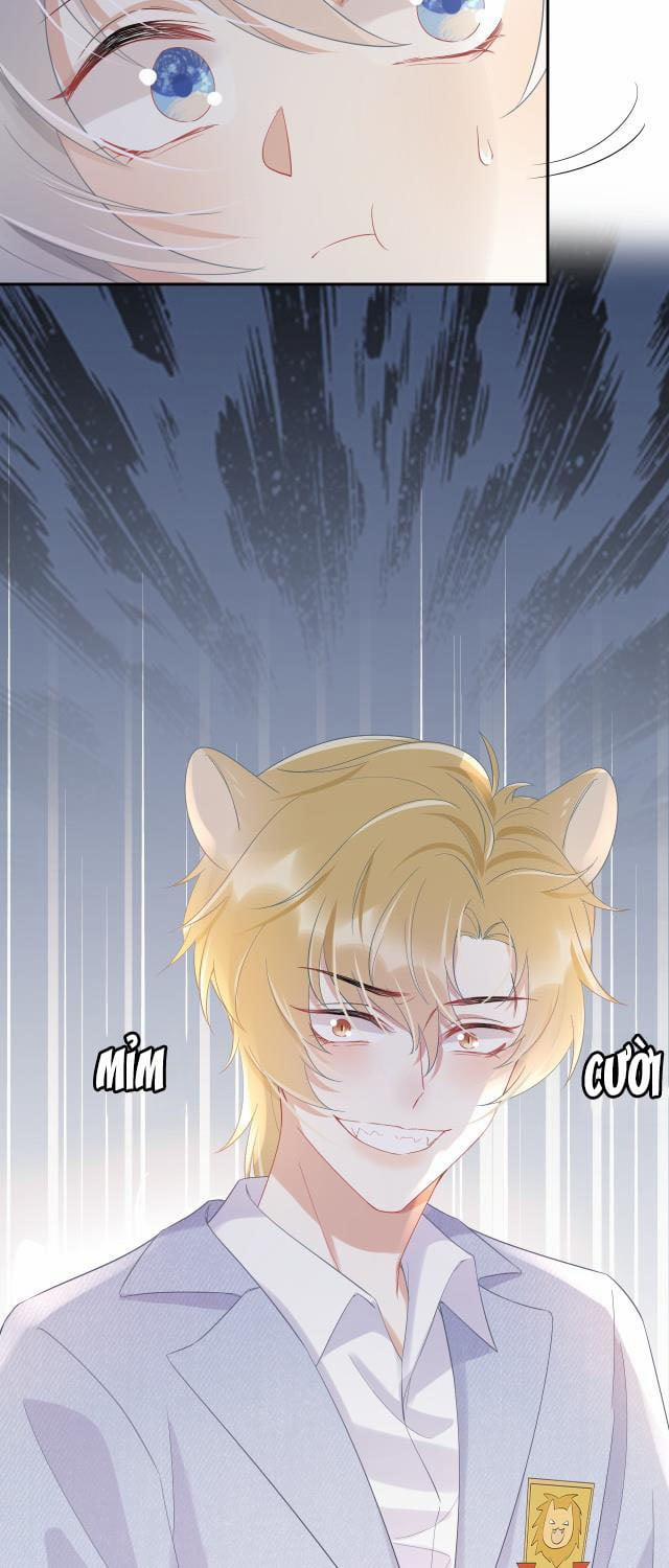 Một Ngụm Ăn Thỏ 6 trang 11