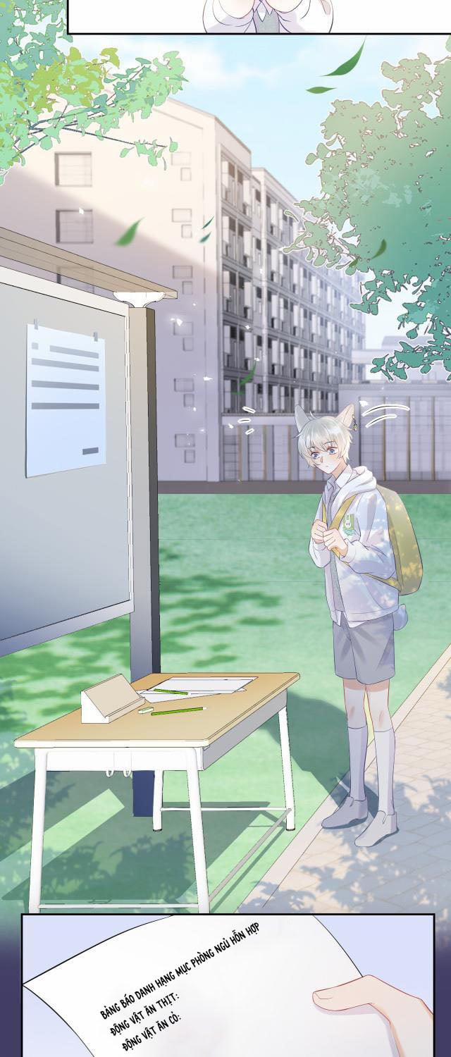 Một Ngụm Ăn Thỏ 6 trang 19