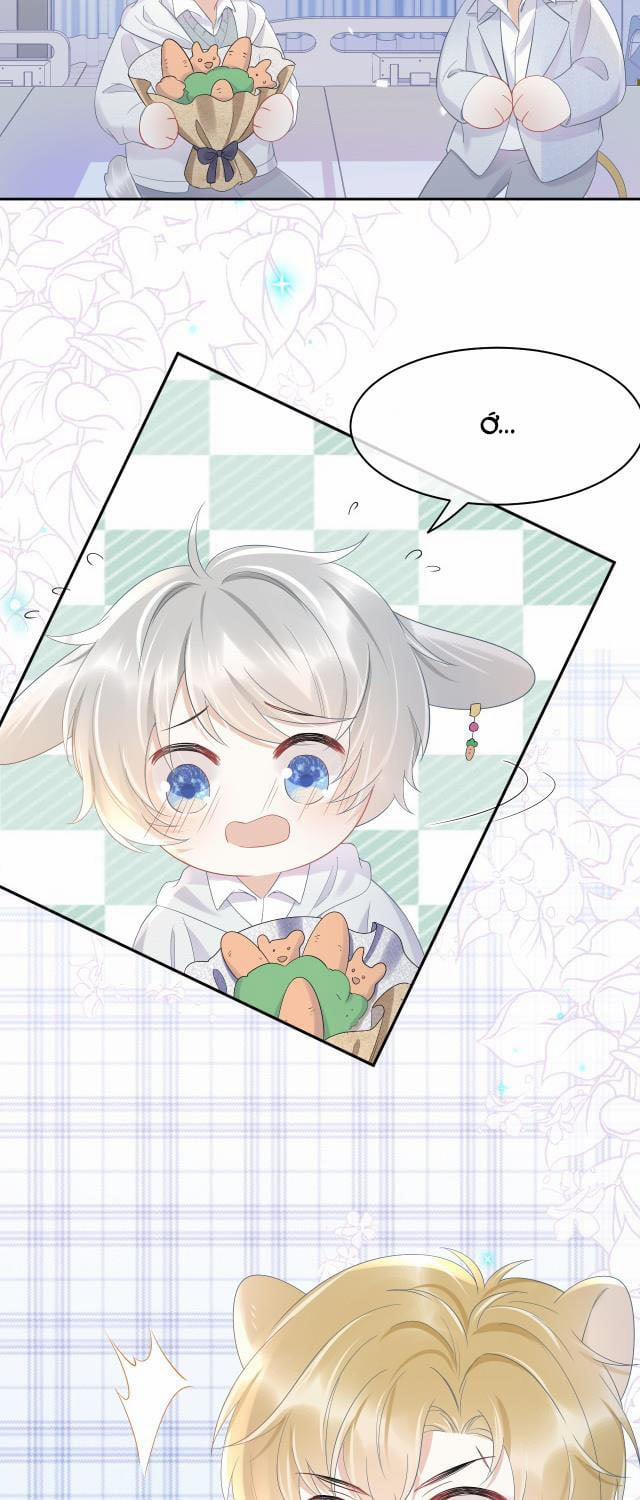 Một Ngụm Ăn Thỏ 6 trang 4