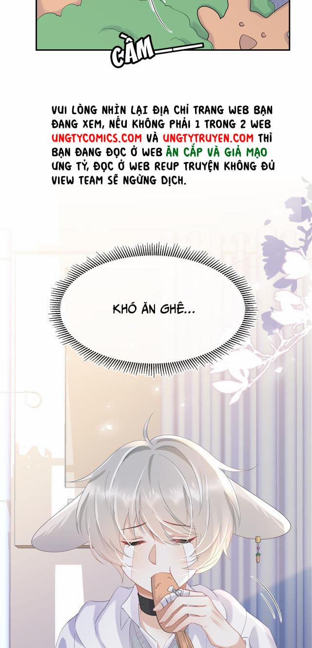 Một Ngụm Ăn Thỏ 6 trang 7