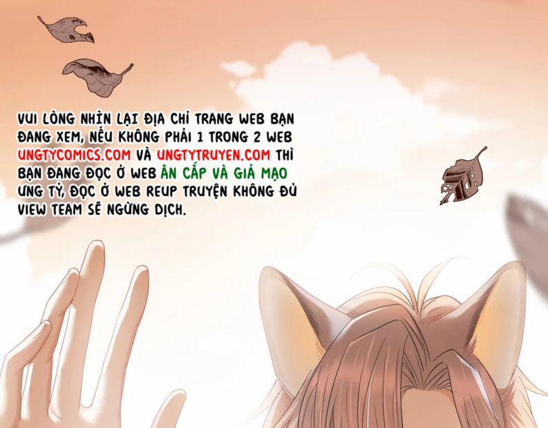 Một Ngụm Ăn Thỏ 63 trang 51