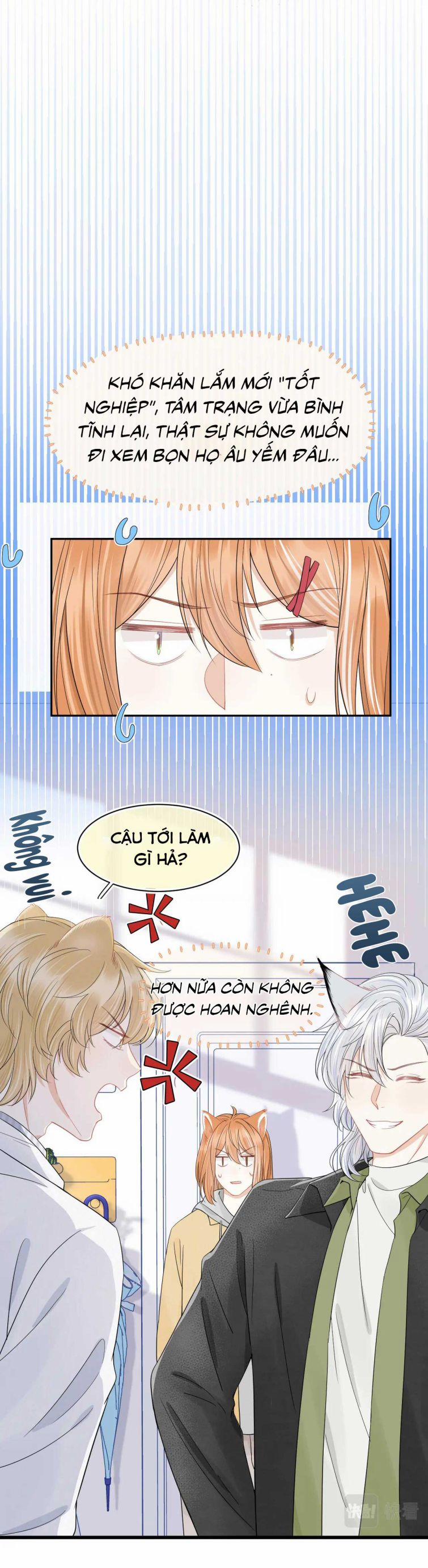 Một Ngụm Ăn Thỏ 65 trang 5