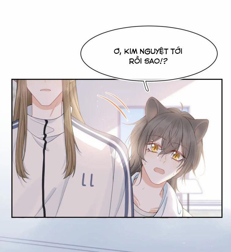 Một Ngụm Ăn Thỏ 67 trang 15