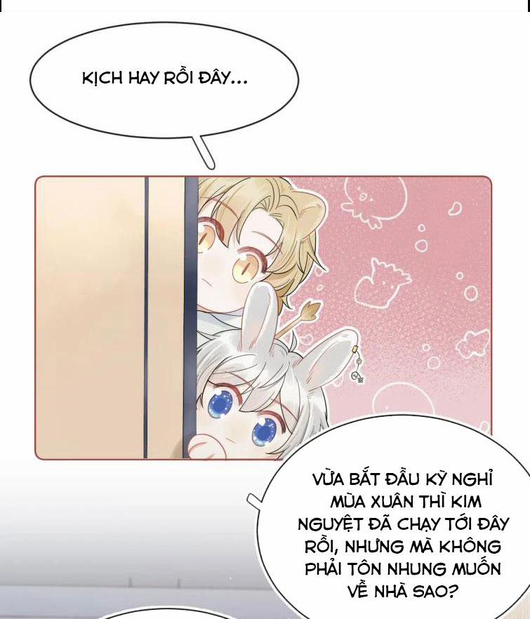 Một Ngụm Ăn Thỏ 67 trang 3