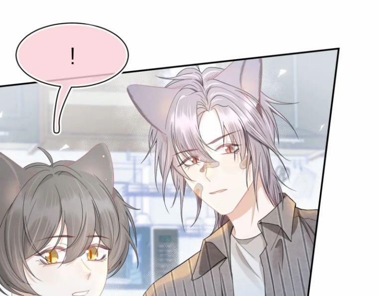 Một Ngụm Ăn Thỏ 73 trang 24