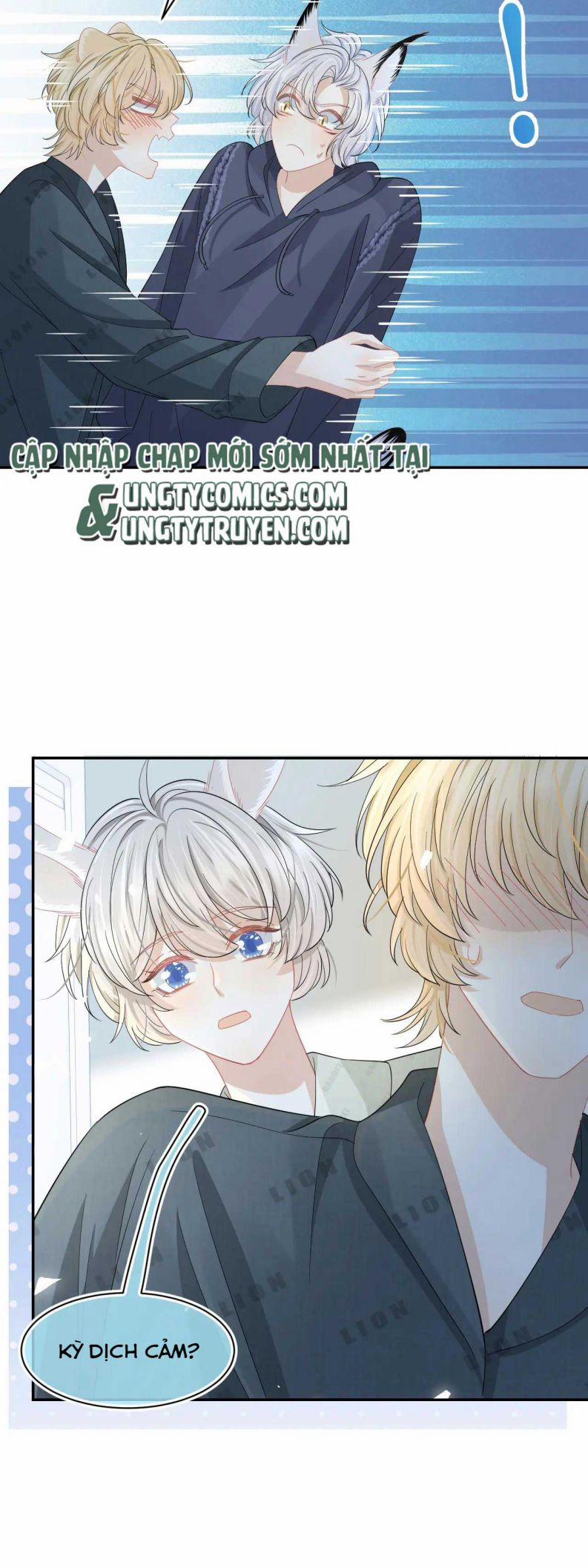 Một Ngụm Ăn Thỏ 77 trang 26