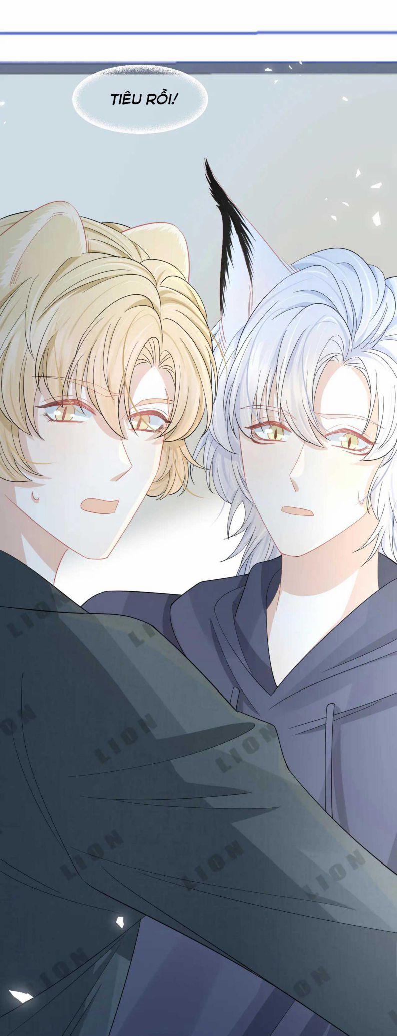 Một Ngụm Ăn Thỏ 77 trang 27