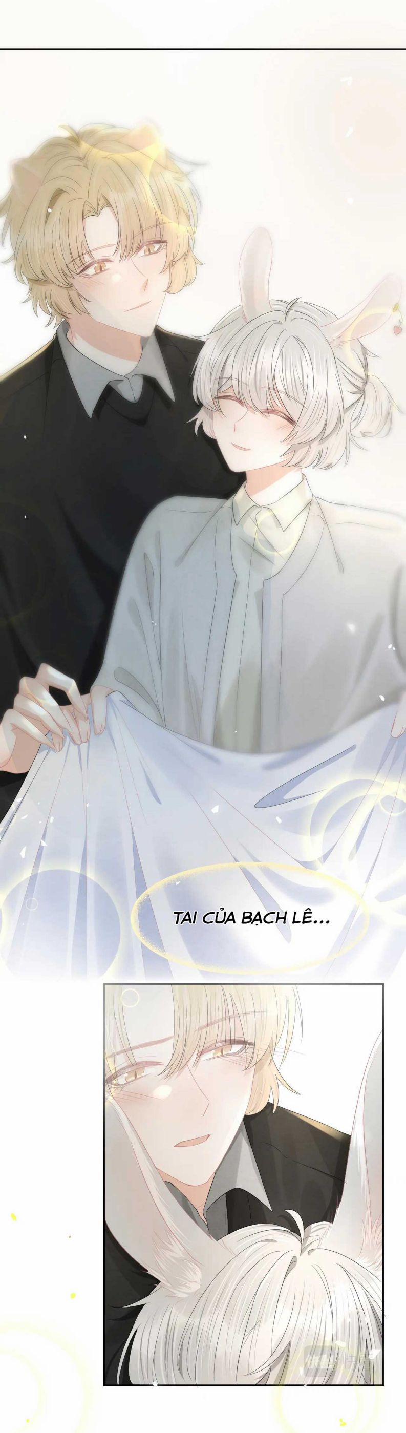 Một Ngụm Ăn Thỏ 77 trang 3