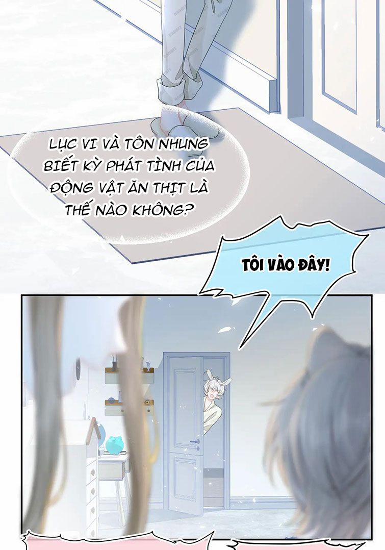 Một Ngụm Ăn Thỏ 78 trang 22