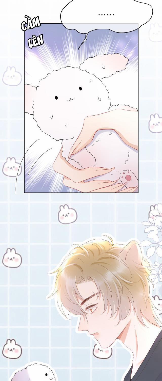 Một Ngụm Ăn Thỏ 8 trang 11