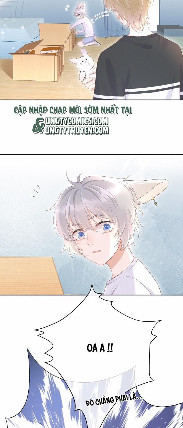 Một Ngụm Ăn Thỏ 8 trang 13