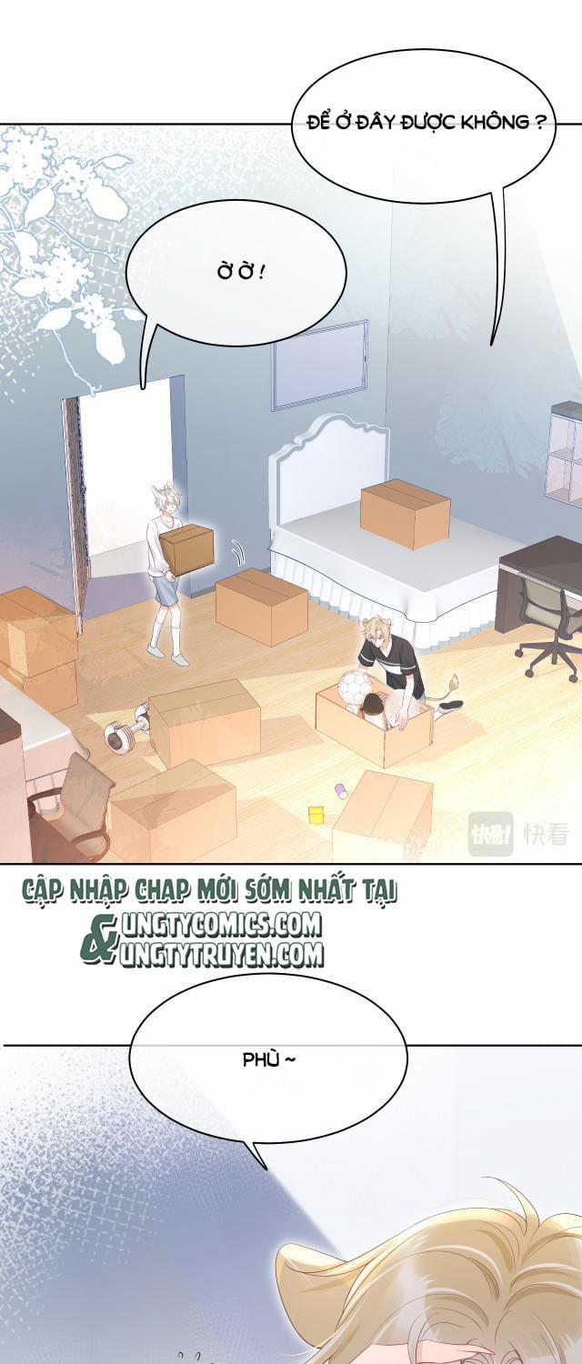 Một Ngụm Ăn Thỏ 8 trang 2