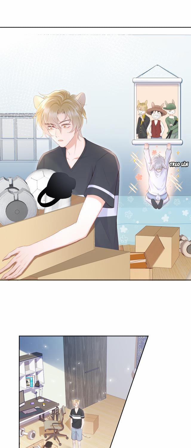 Một Ngụm Ăn Thỏ 8 trang 7