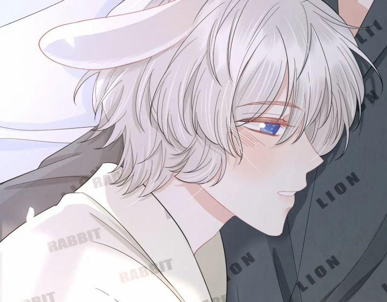 Một Ngụm Ăn Thỏ 80 trang 11