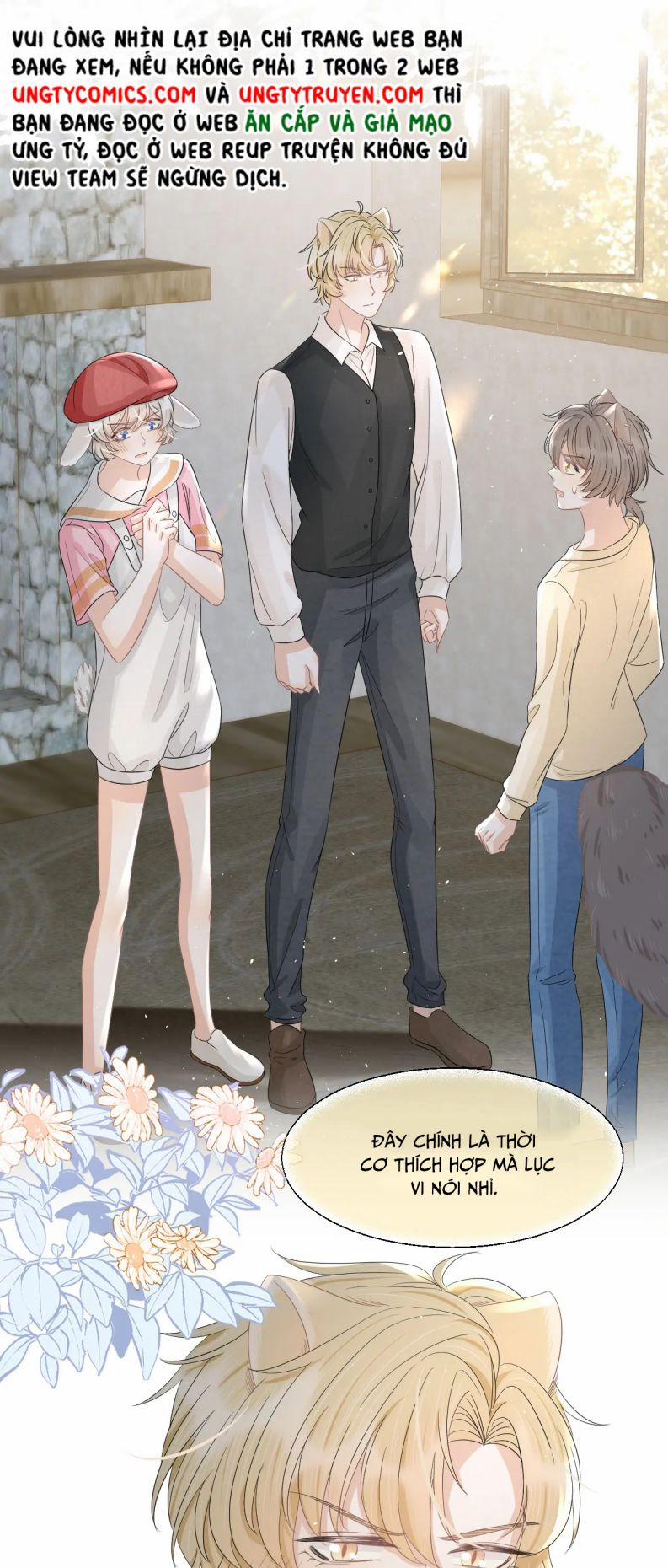 Một Ngụm Ăn Thỏ 84 trang 19