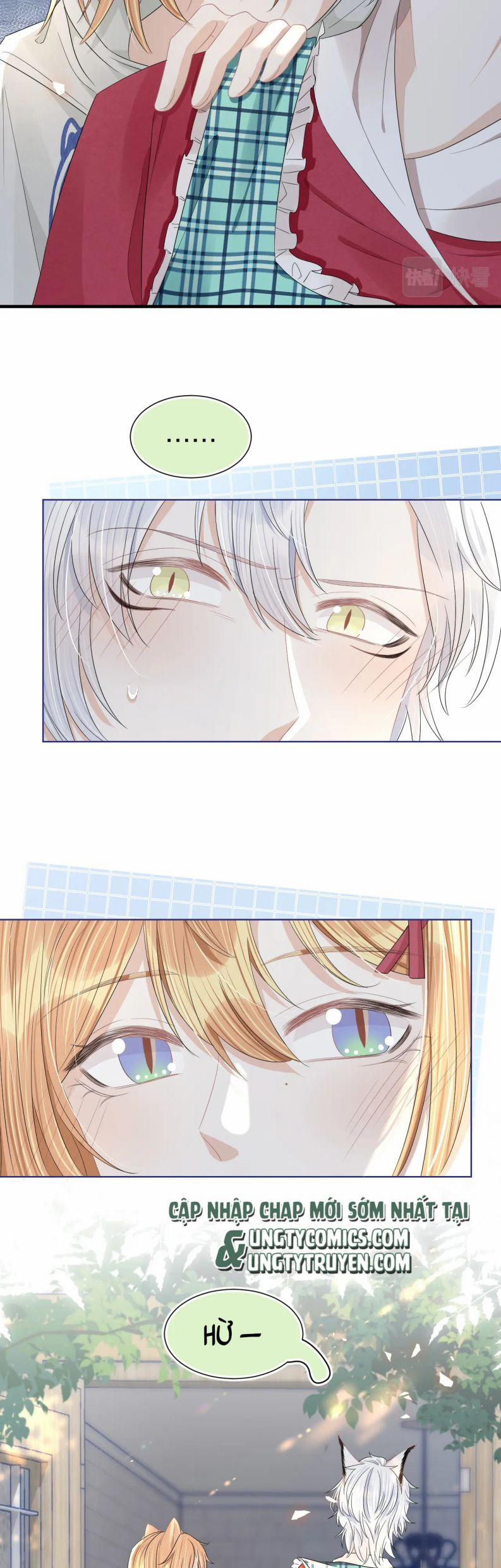 Một Ngụm Ăn Thỏ 85 trang 20