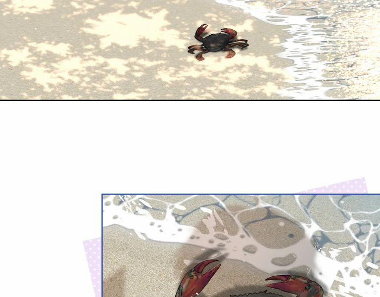 Một Ngụm Ăn Thỏ 88 trang 6