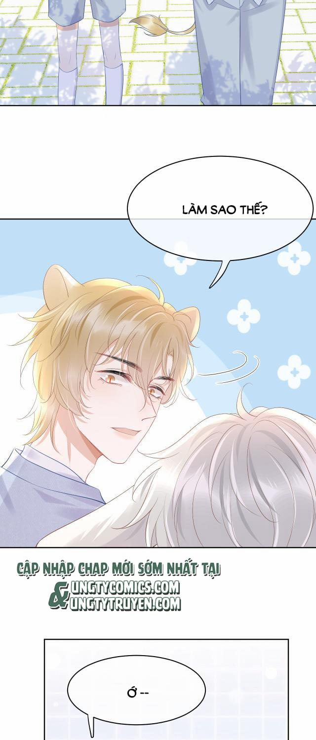 Một Ngụm Ăn Thỏ 9 trang 19