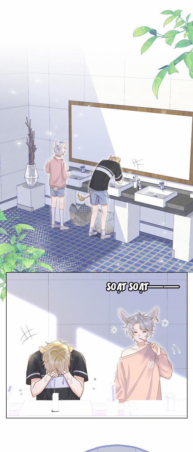 Một Ngụm Ăn Thỏ 9 trang 2