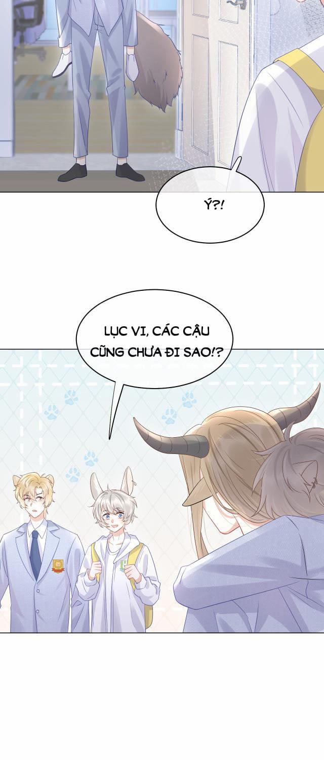 Một Ngụm Ăn Thỏ 9 trang 8