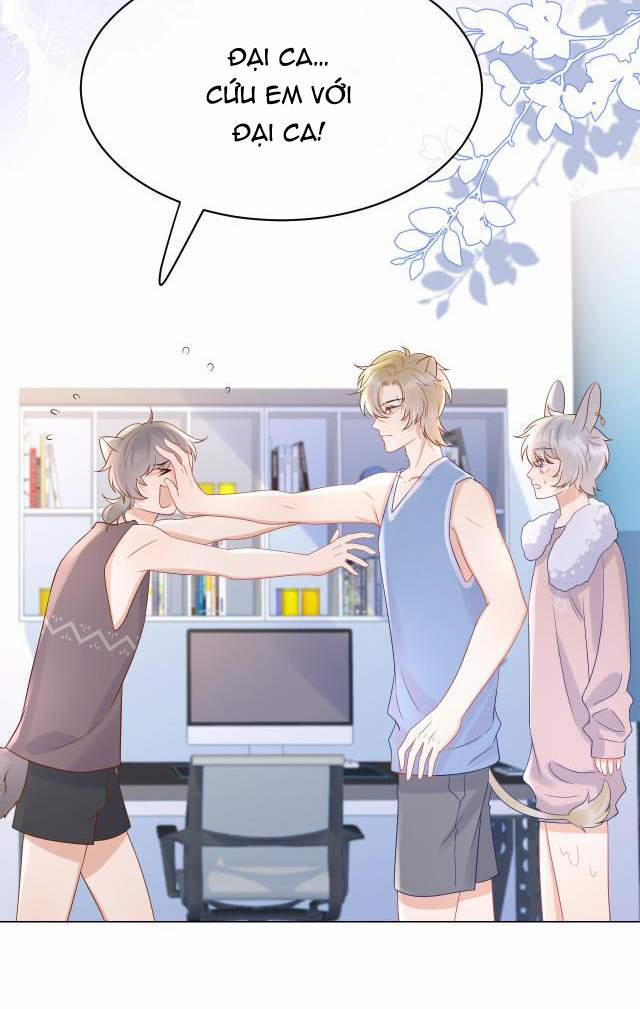 Một Ngụm Nuốt Trọn Thỏ Con 11 trang 13