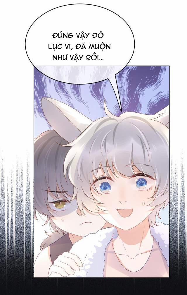 Một Ngụm Nuốt Trọn Thỏ Con 11 trang 17