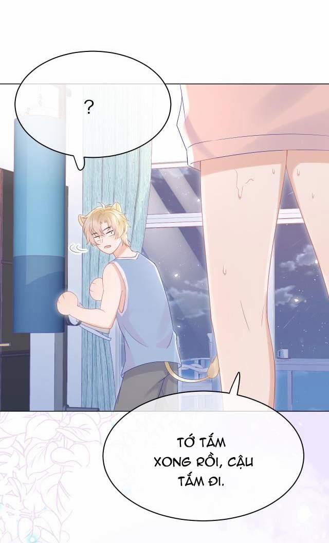 Một Ngụm Nuốt Trọn Thỏ Con 11 trang 6