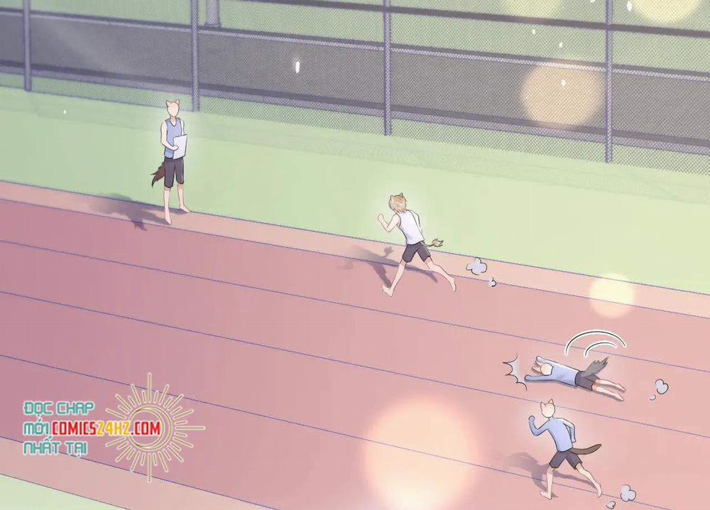 Một Ngụm Nuốt Trọn Thỏ Con 12 trang 4