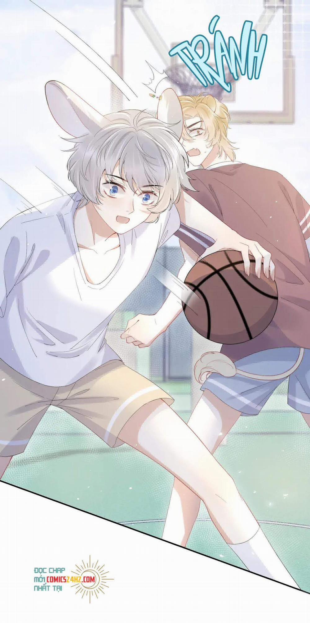 Một Ngụm Nuốt Trọn Thỏ Con 13 trang 8