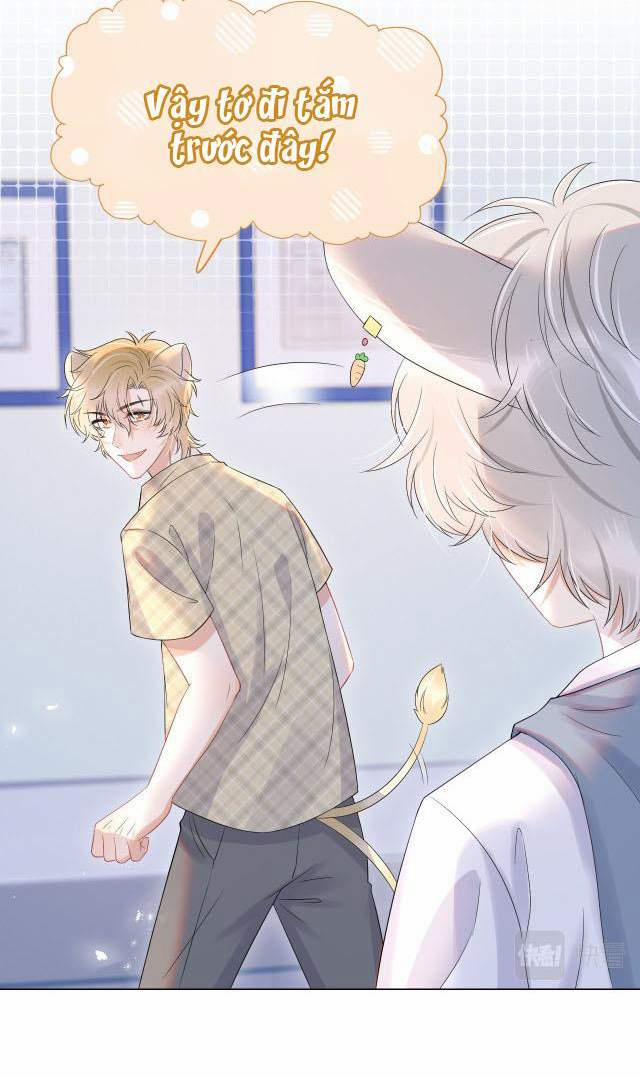 Một Ngụm Nuốt Trọn Thỏ Con 14 trang 31